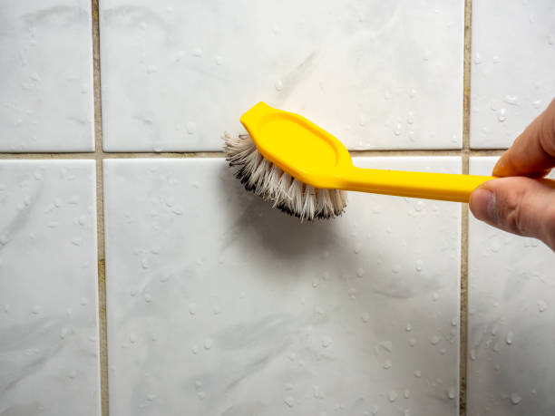 Best Mold Removal Near Me  in Dawsonville, GA
