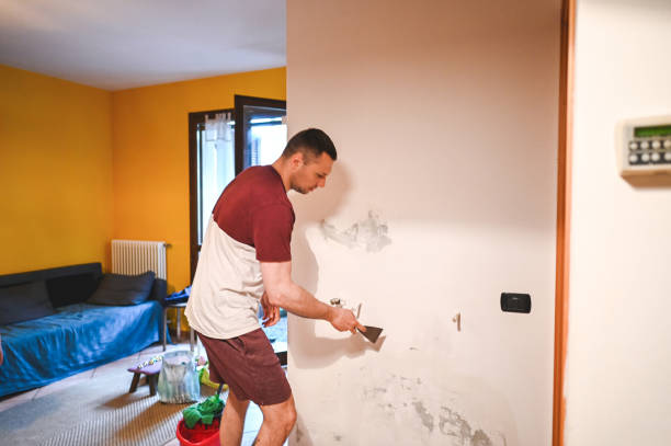 Mold Removal and Inspection in Dawsonville, GA